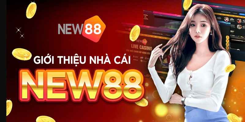 Giới thiệu tổng quan về New88 vip hiện nay